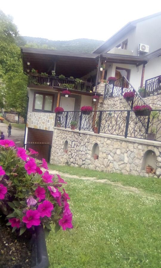 Guest House Stevovski Elshani Eksteriør billede