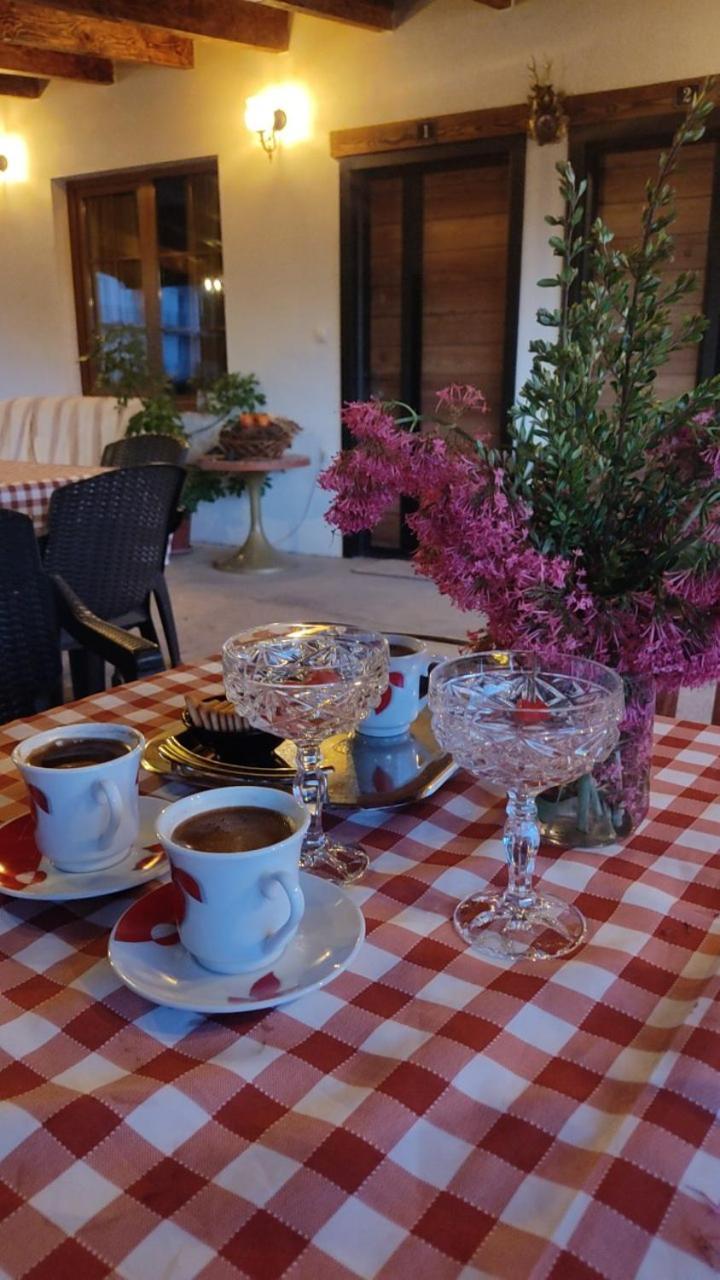 Guest House Stevovski Elshani Eksteriør billede